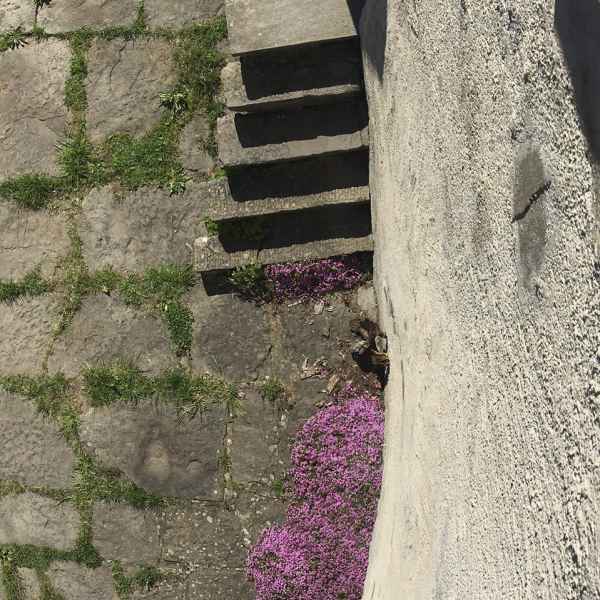 07 House. Fiumalbo, 1990