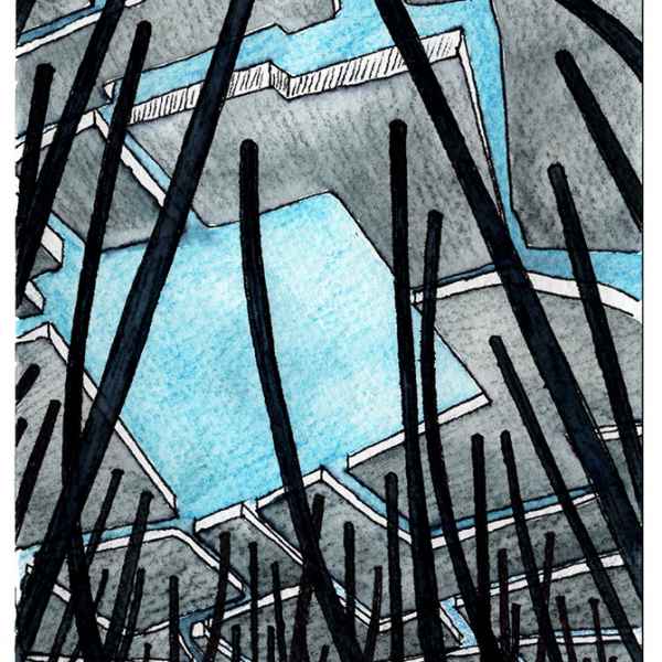 6 Claering in the Wood 6, 2012