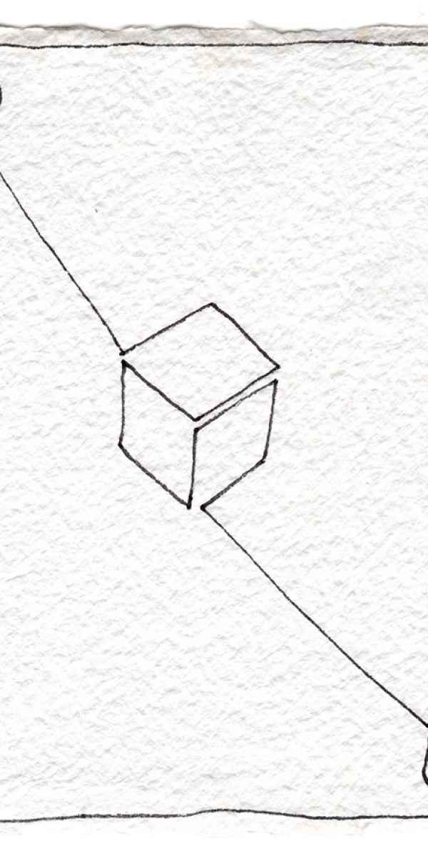 12 The Conflicts of Representation, 1994