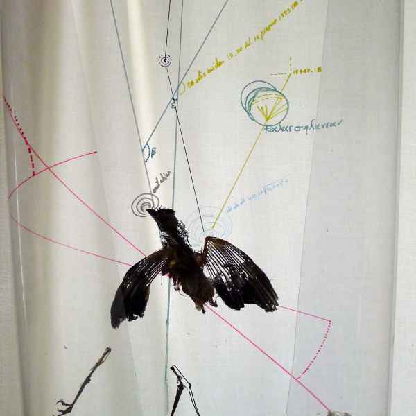 5 Circle of Light, 2013