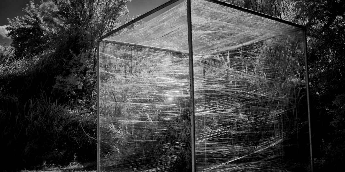 14 The Cube in the Egg, 2015