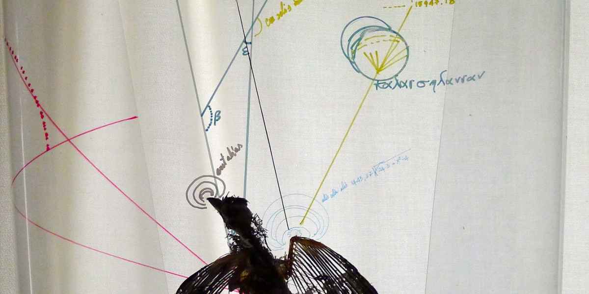 4 There Must Be a Reason, 2016